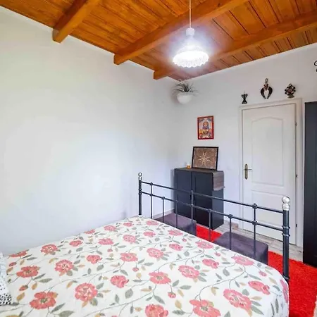 Casa Luminoasa Cu Poveste Holiday home Sulina